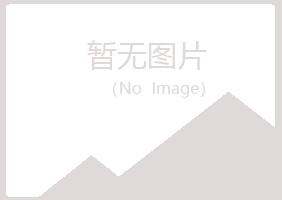 河池曾经能源有限公司